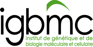 IGBMC