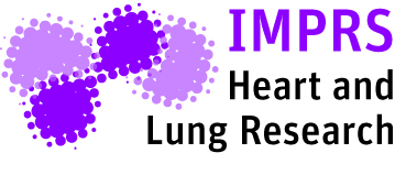 imprs-hlr-img2