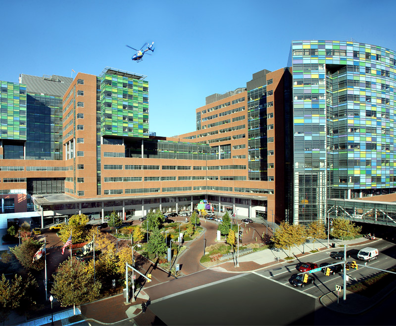 Healing Heights Johns Hopkins University School Of Medicine The Pinnacle Of Medical Excellence 